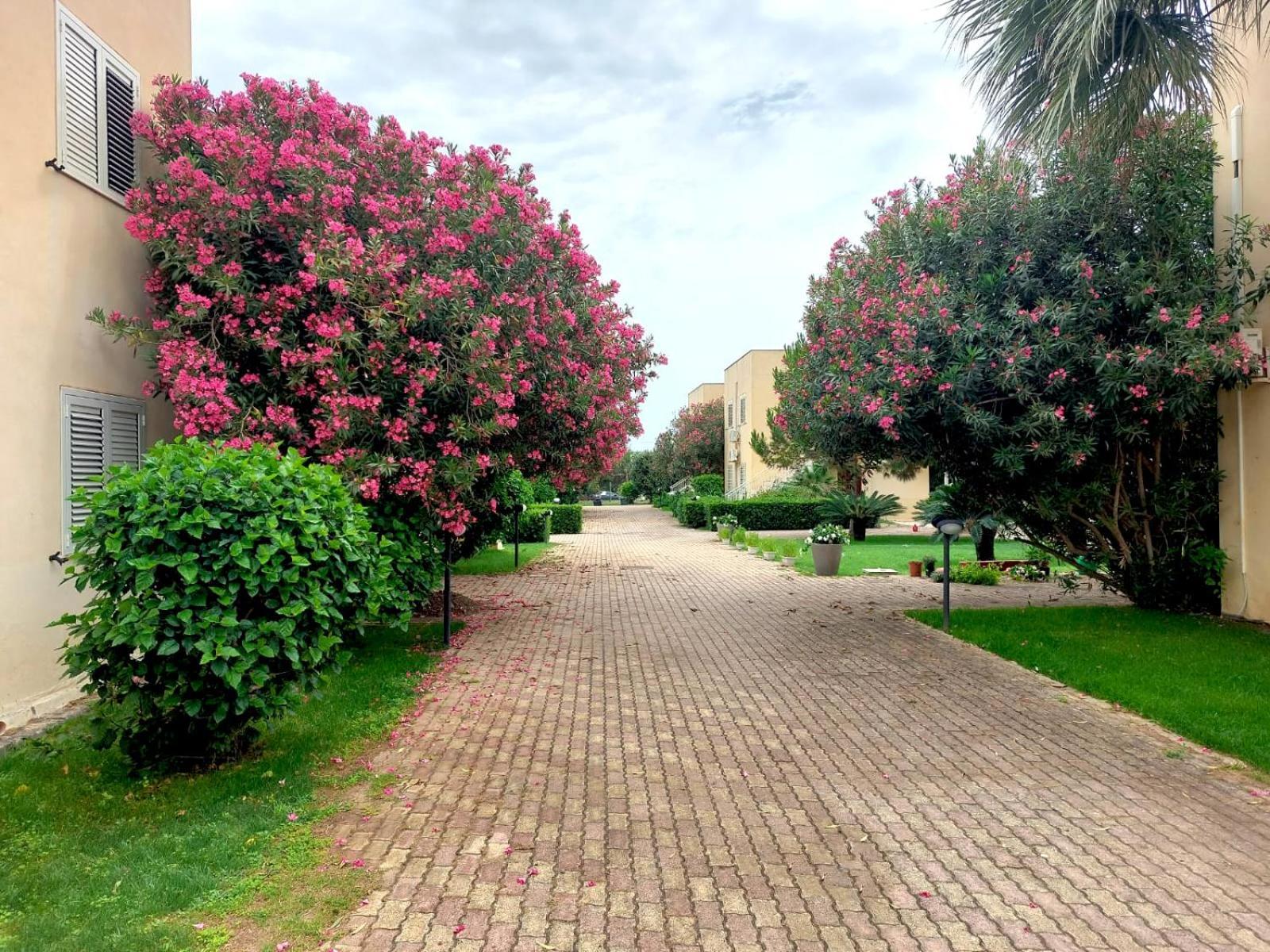 Giallomare Aparthotel Marzamemi Esterno foto